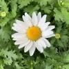 jill_johnson2